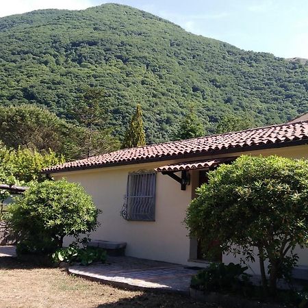 Agriturismo Collevento Треккина Экстерьер фото