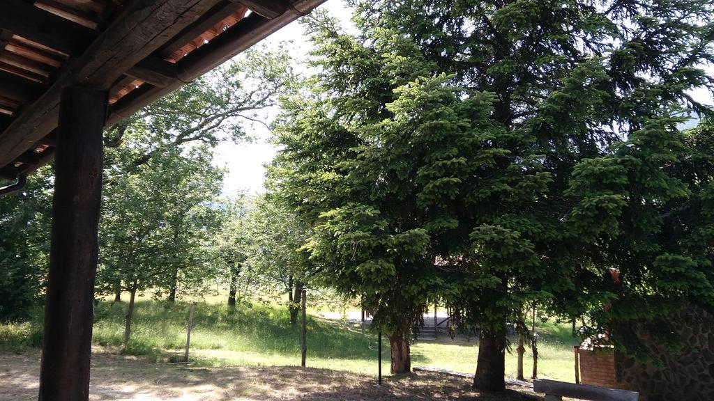 Agriturismo Collevento Треккина Экстерьер фото